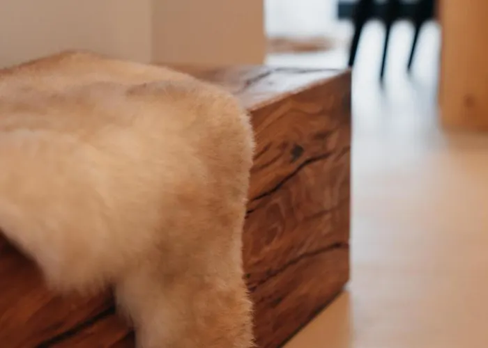 Apartment Wilcza Jurgów